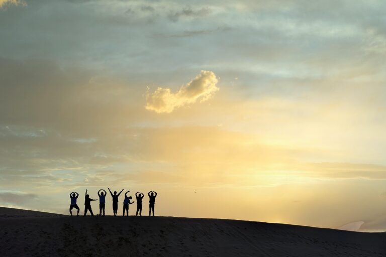 people, fun, friends, sunset, desert, sun, nature, sky, mongolia, friends, friends, friends, friends, friends